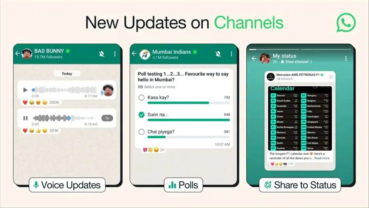WhatsApp Channels features