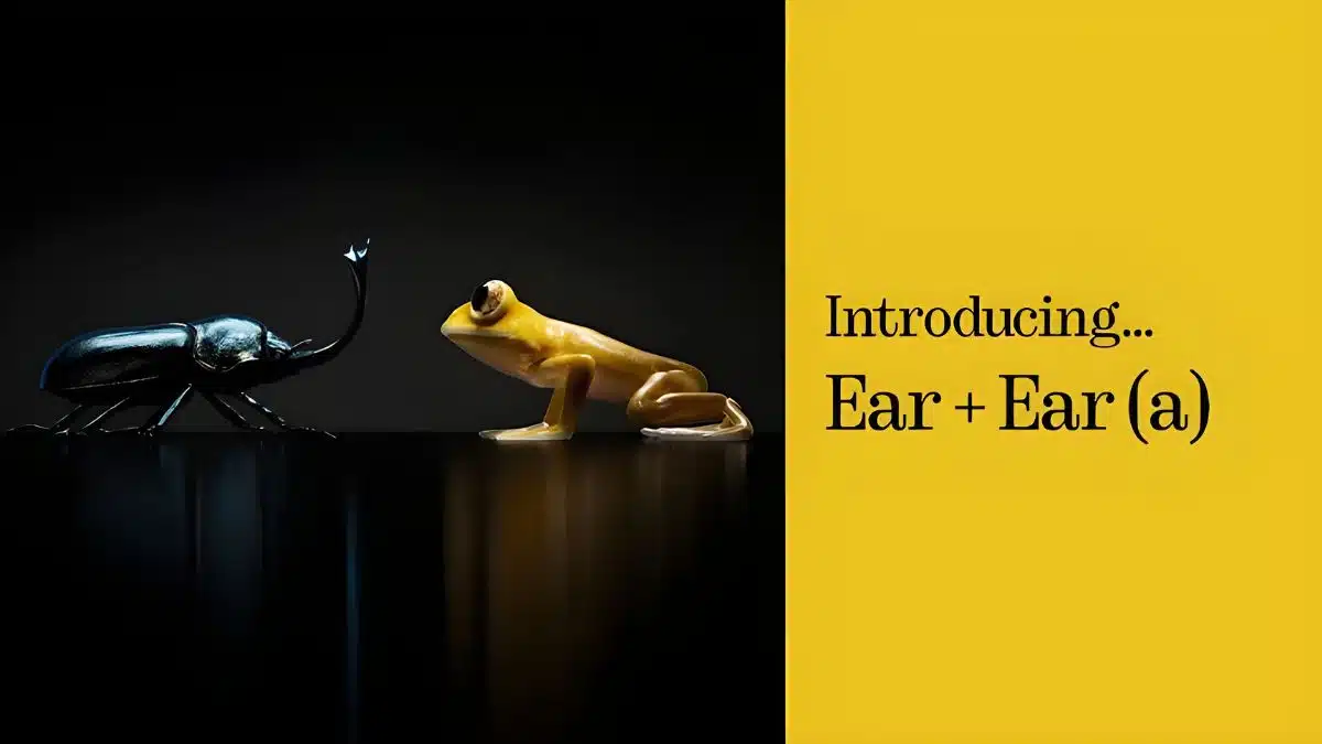 Nothing Ear, Nothing Ear (a)